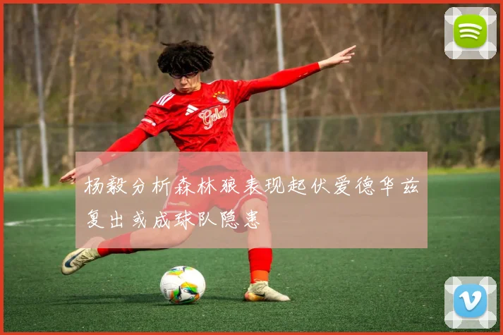 杨毅分析森林狼表现起伏爱德华兹复出或成球队隐患