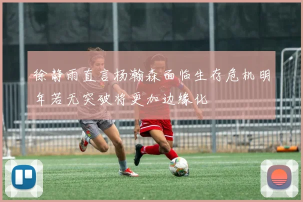 徐静雨直言杨瀚森面临生存危机明年若无突破将更加边缘化